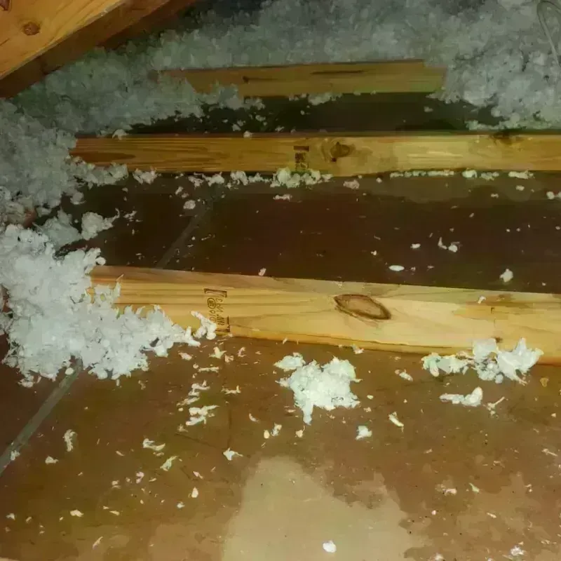 Attic Water Damage in Maplewood, MO