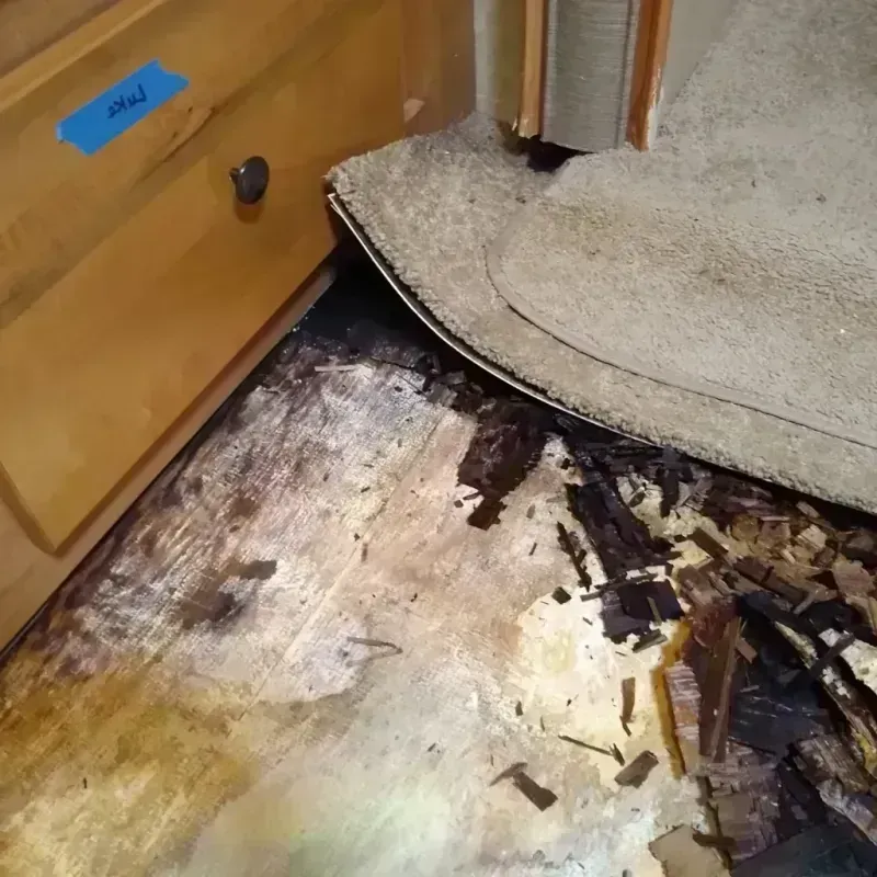 Wood Floor Water Damage in Maplewood, MO